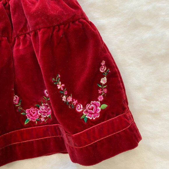 The Children's Place Burgundy Velvet Allover Embroidered Flowers Lined Skirt 6-9 - Picture 2 of 5